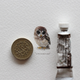 Illustration for article titled Artists makes 365 beautiful tiny paintings for ants